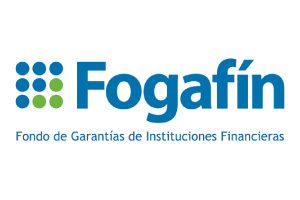 Fogafín